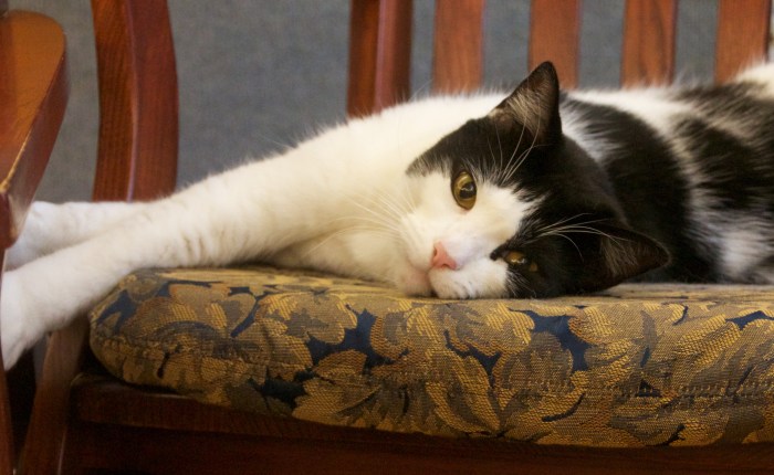 When work isn’t&nbsp;work